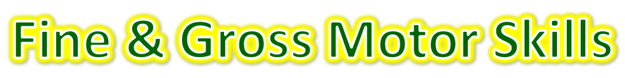 Fine & Gross Motor Skills