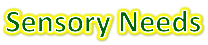 Sensory Needs